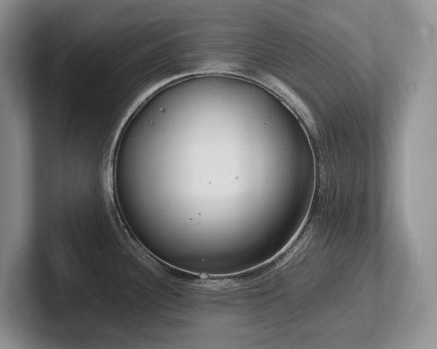 X0000102511340200808081402