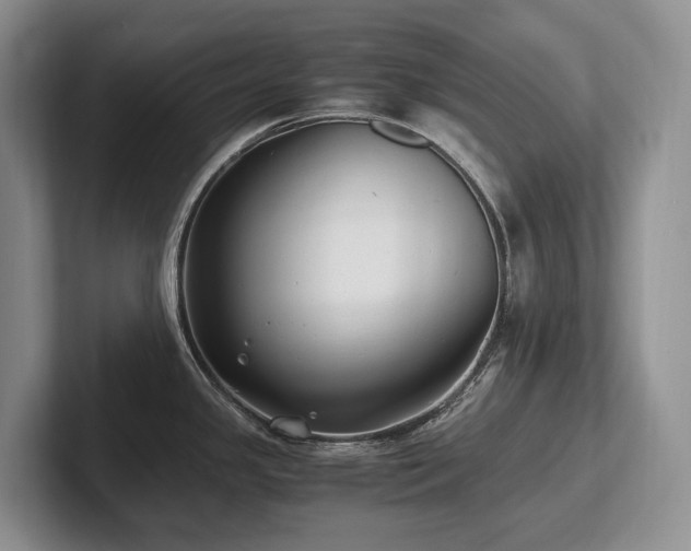 X0000102511341200808081402