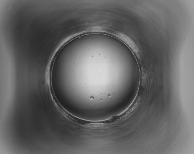 X0000102511342200808081402