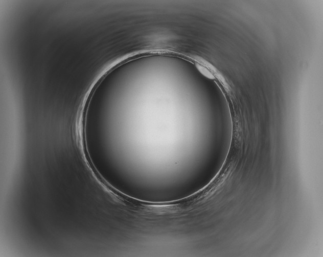 X0000102511343200808081402