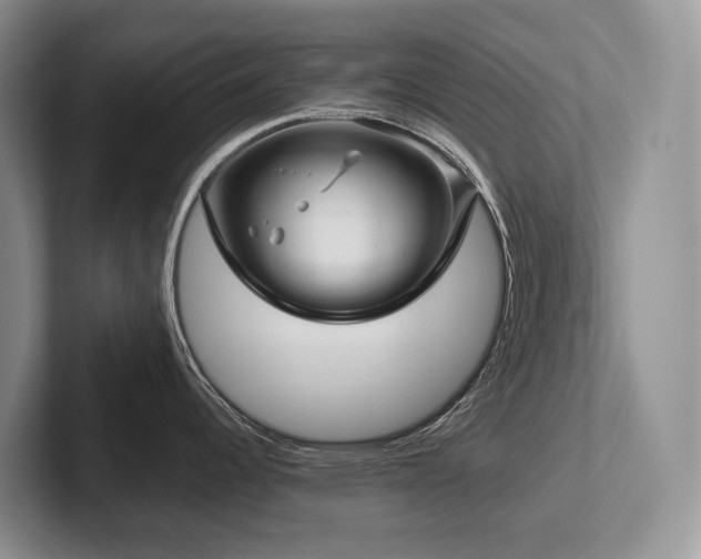 X0000102511344200808081402