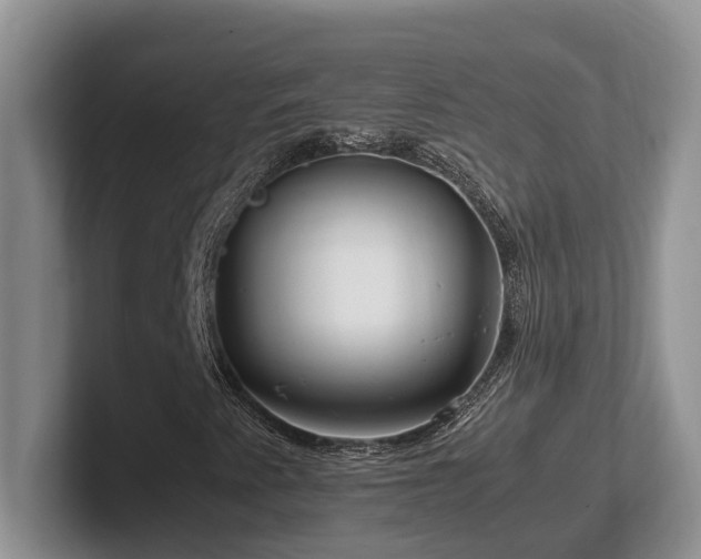 X0000102511345200808081401