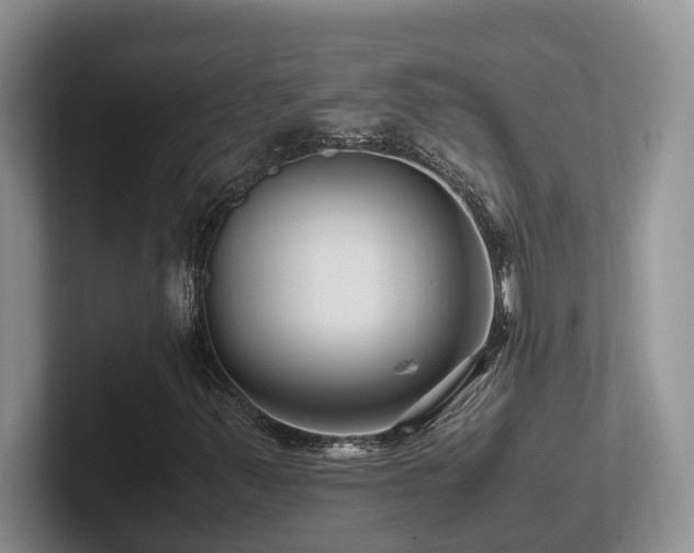 X0000102511347200808081401