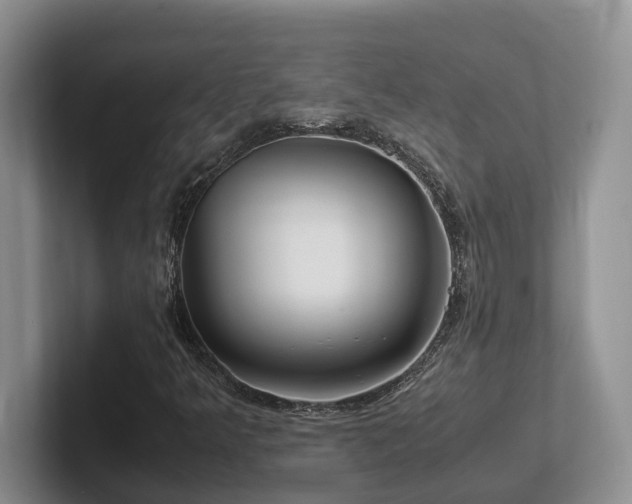 X0000102511349200808081401