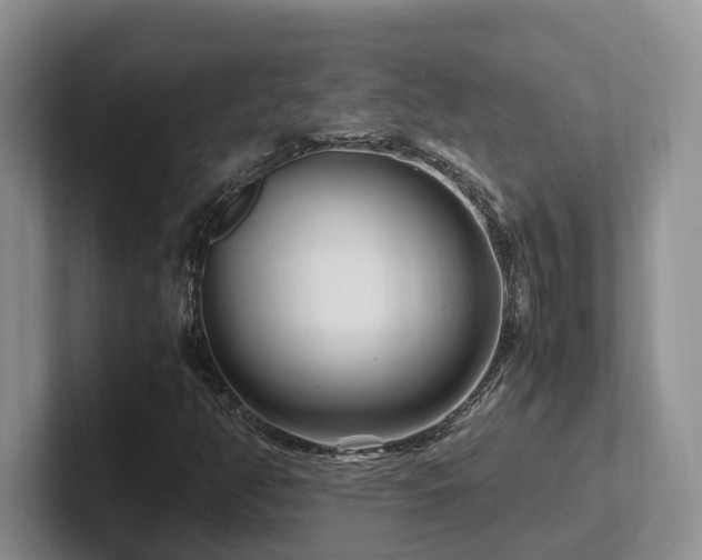 X0000102511350200808081401