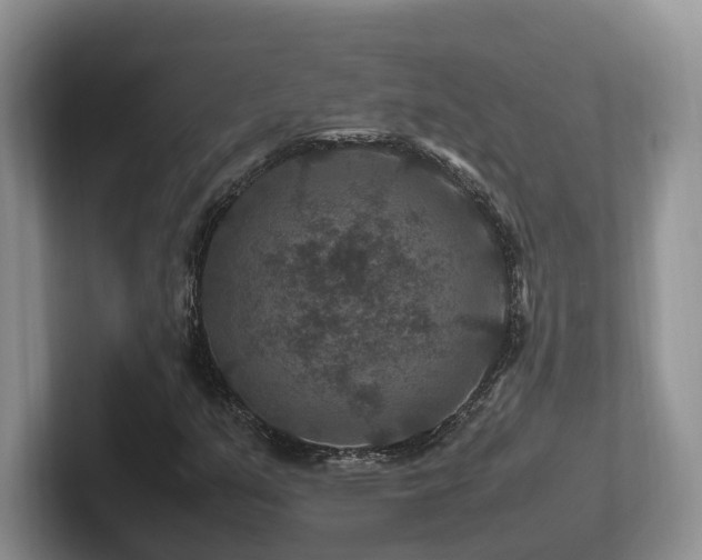 X0000102511351200808081401
