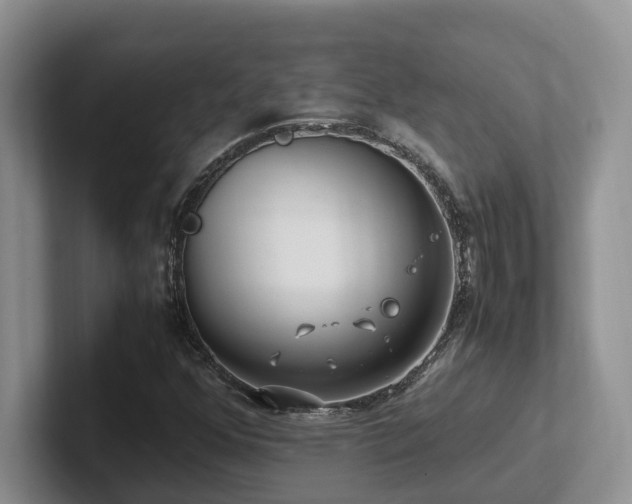 X0000102511352200808081401