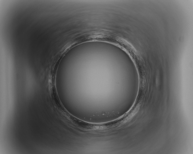 X0000102511353200808081401