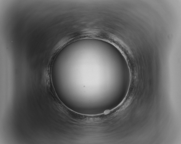 X0000102511354200808081401