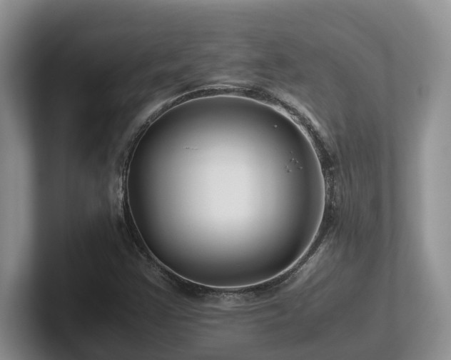 X0000102511355200808081401