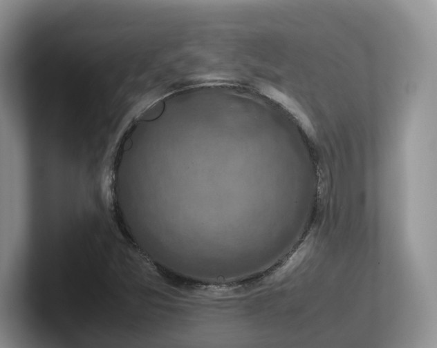 X0000102511357200808081401