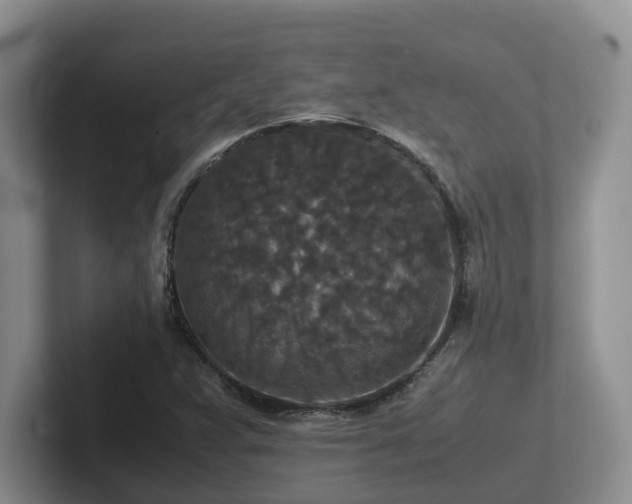 X0000102511359200808081401