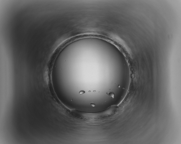 X0000102511360200808081401