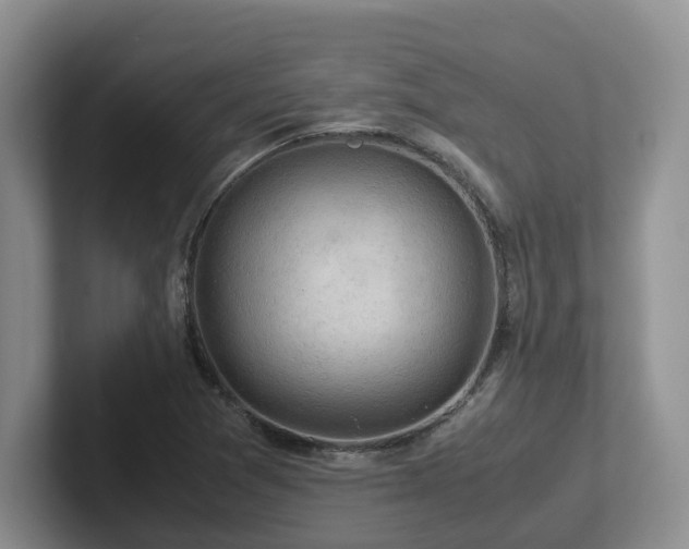 X0000102511361200808081401