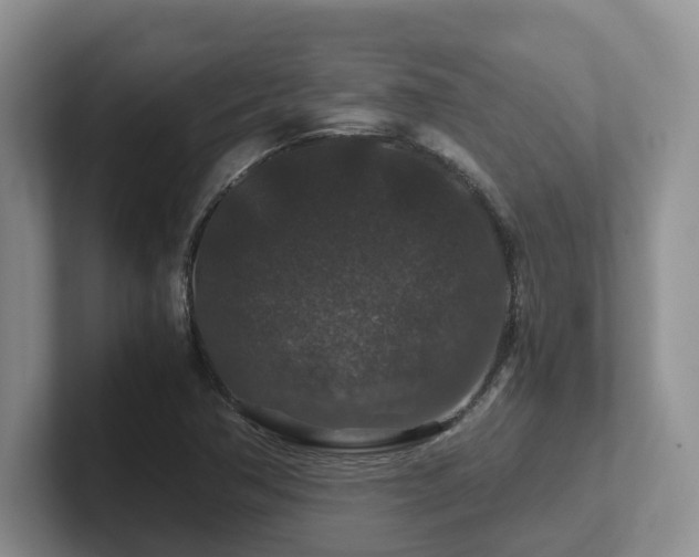 X0000102511362200808081401