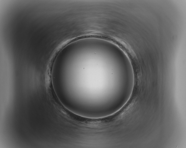 X0000102511363200808081401