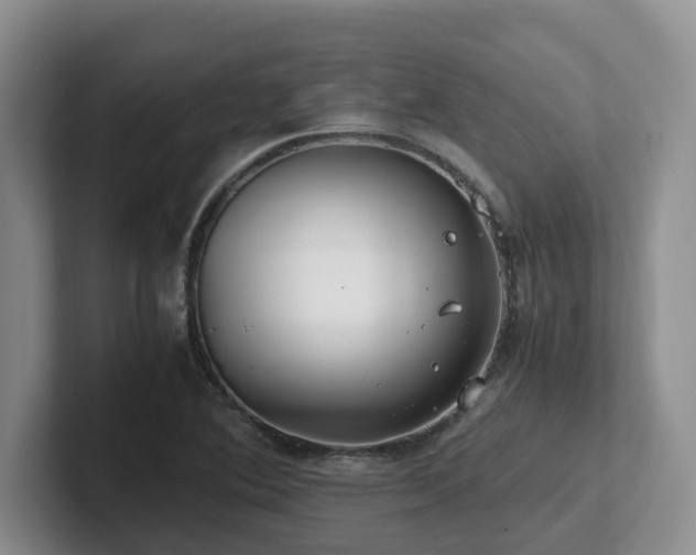 X0000102511364200808081401