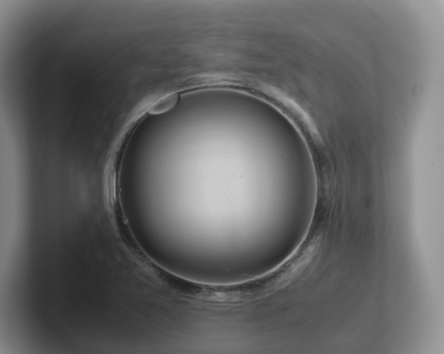 X0000102511365200808081401