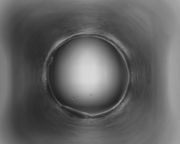 X0000102511366200808081401
