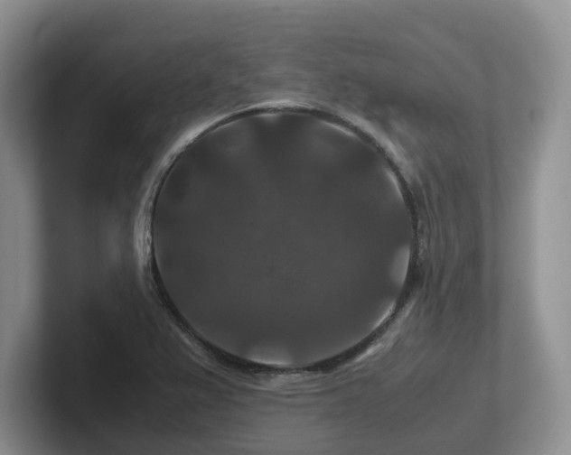 X0000102511367200808081401