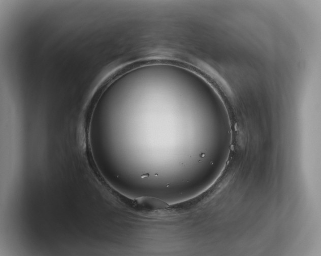 X0000102511368200808081401