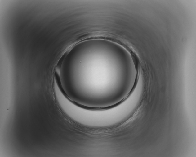 X0000102511369200808081401