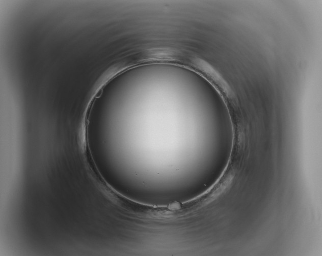 X0000102511370200808081401
