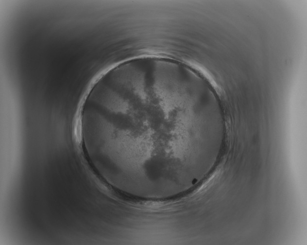 X0000102511371200808081401