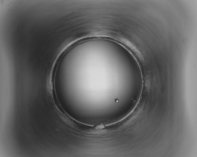 X0000102511372200808081401