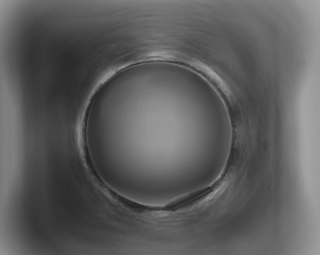 X0000102511373200808081401