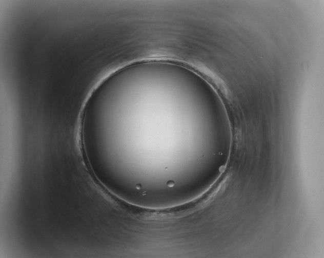 X0000102511374200808081401