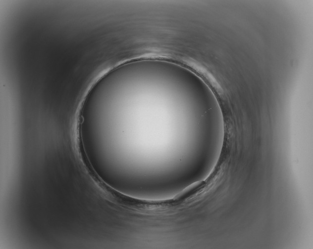 X0000102511375200808081401