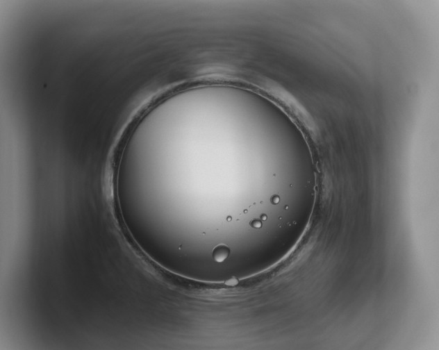 X0000102511376200808081401