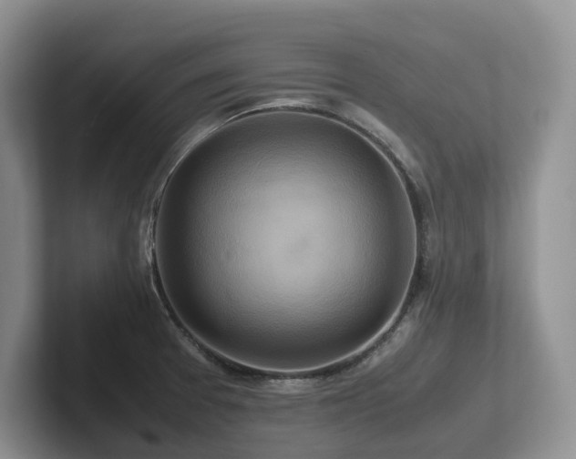 X0000102511377200808081401