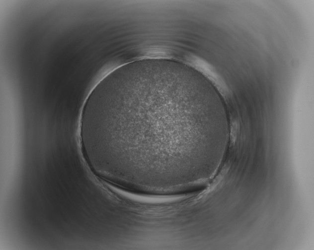 X0000102511378200808081401