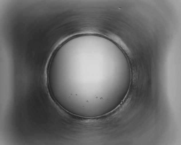 X0000102511380200808081401
