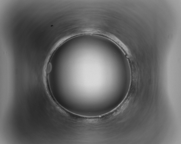 X0000102511381200808081401
