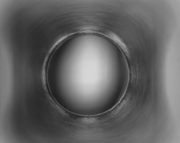 X0000102511384200808081401