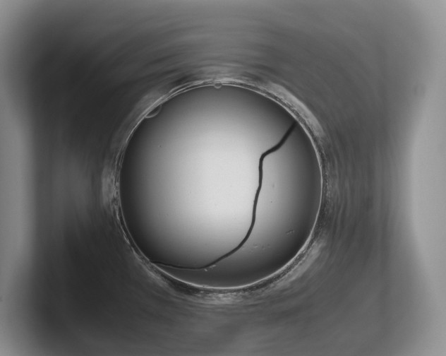 X0000102511385200808081401