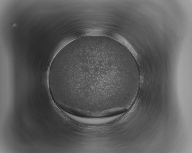 X0000102511386200808081401