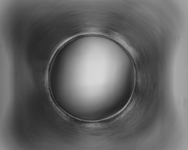 X0000102511388200808081401