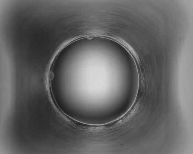 X0000102511389200808081401