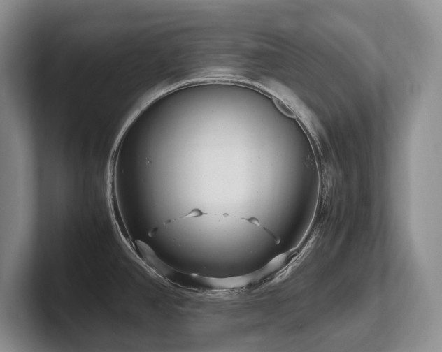 X0000102511390200808081401