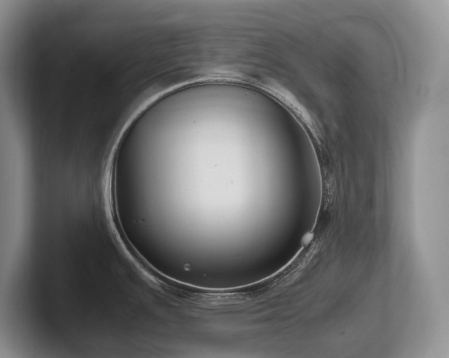 X0000102511391200808081401