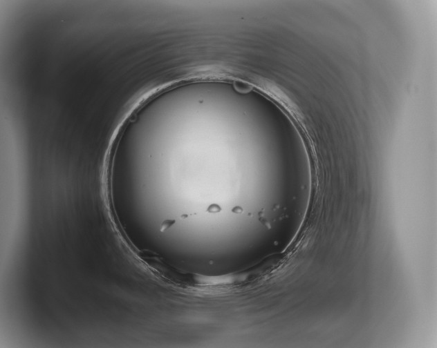 X0000102511392200808081401