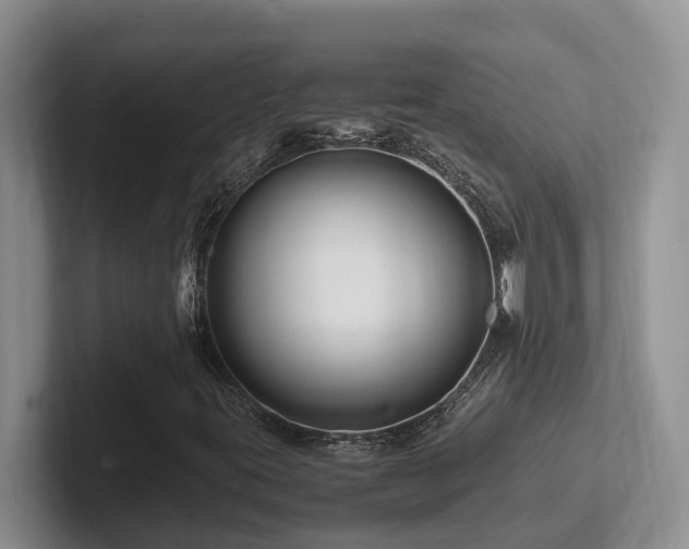 X0000102511395200808081400
