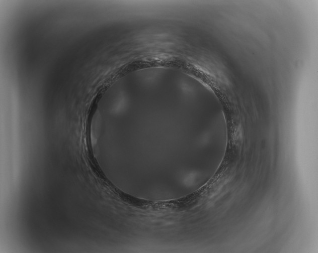 X0000102511397200808081400