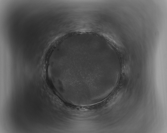 X0000102511398200808081400