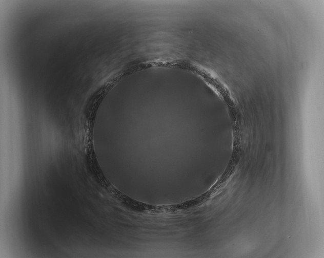 X0000102511399200808081400
