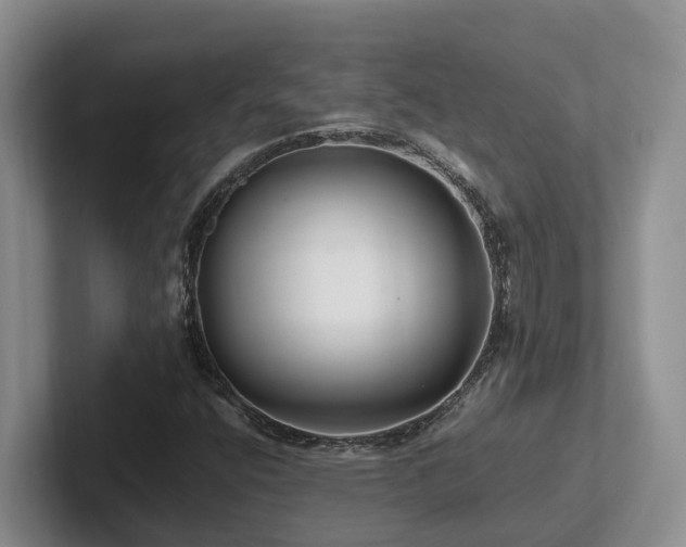 X0000102511400200808081400